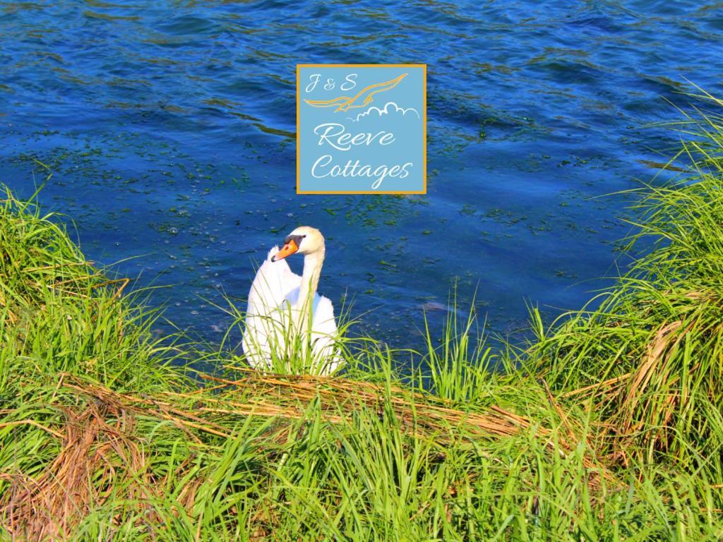 Premier Waterfront Cottage 2 Riverhead Luaran gambar